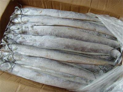 青島港到日照專業(yè)化進口冷凍魚蝦清關代理公司